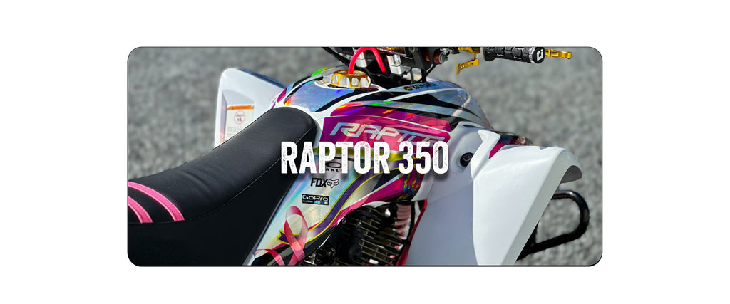 RAPTOR 350