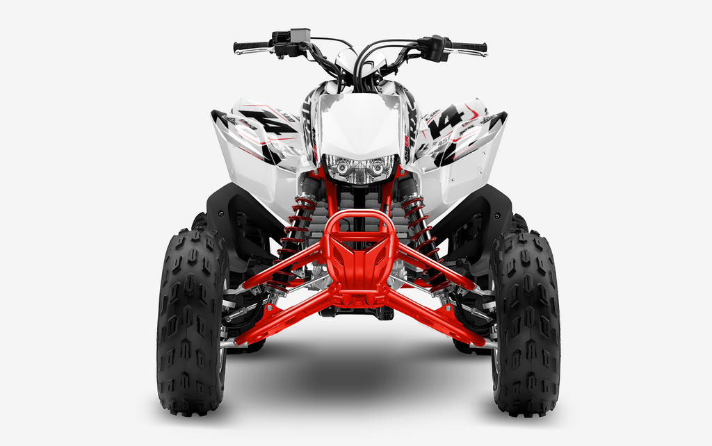 Graphics kit for trx450r